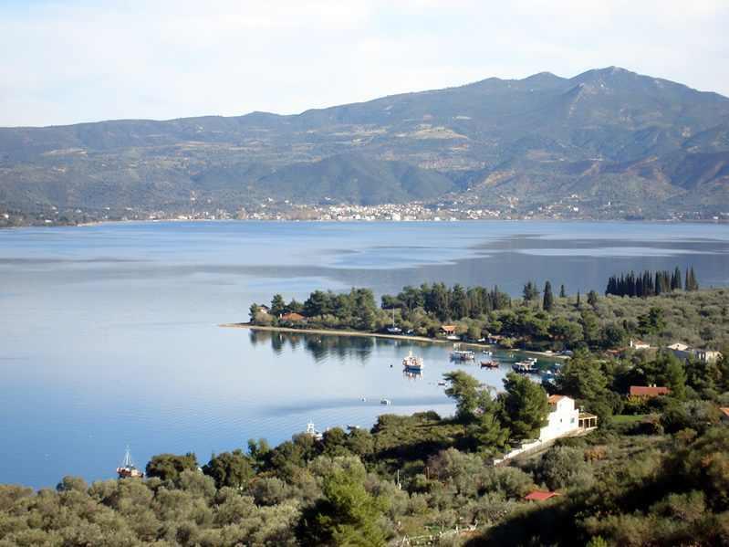 Niovi Luxury Apartments Loutra Edipsou (Evia) Exterior foto